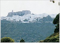 KALNTERIMI APARTMENTS, Skala, Patmos, Photo 6
